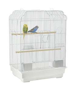 Budgie Cages